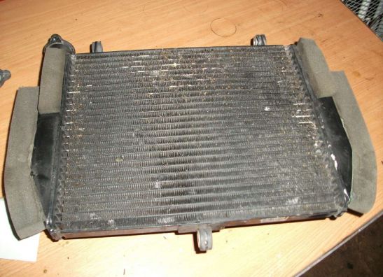 Radiateur Yamaha YZF R6
