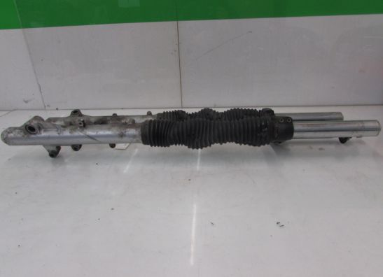 Voorpoten compleet Triumph Tiger 900