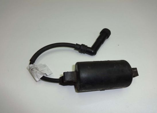 Bobine Kawasaki LTD 454