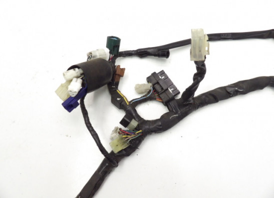 Wire Harness Yamaha FZ6