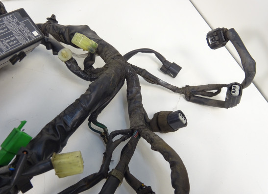 Kabelbaum Honda NC 700 X