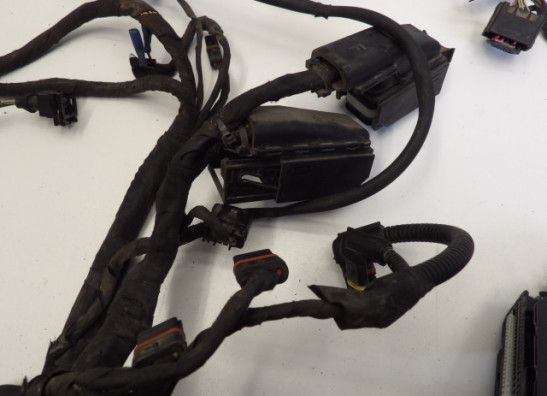 Kabelboom BMW R 1200 GS