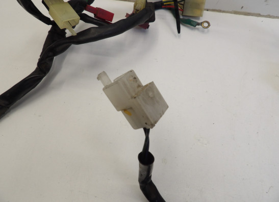 Kabelboom Honda CBR 600 F