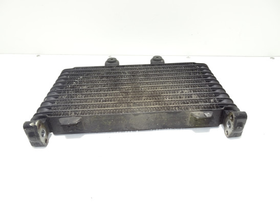 Olkuhler Suzuki GSF 1200 Bandit