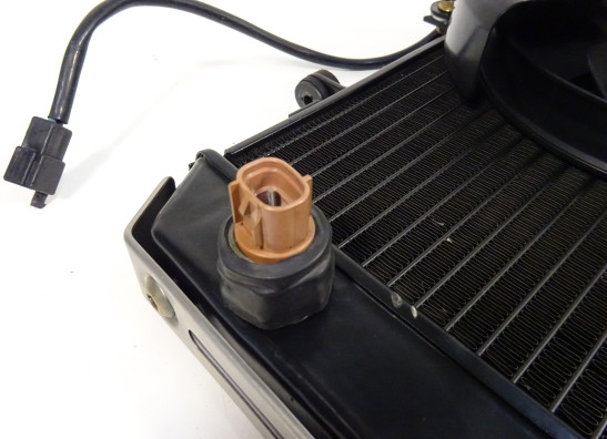 Radiator Kawasaki Z 750