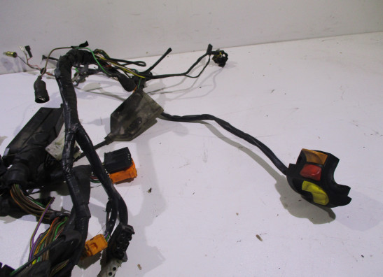 Kabelboom BMW R 850 R