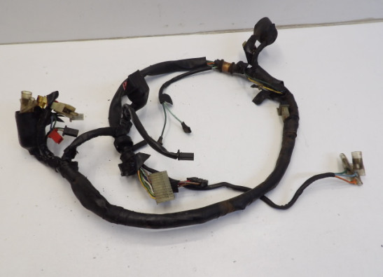 Wire Harness Honda CMX 450