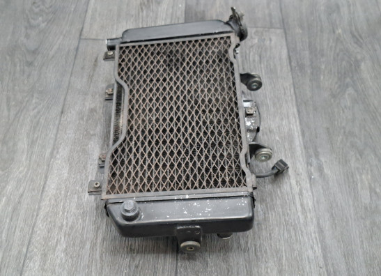 Radiateur Yamaha TDM