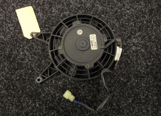 Lufter Triumph Tiger 900