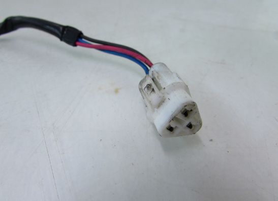 Motorblok diverse Suzuki TL 1000