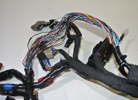 Kabelboom Suzuki SV 650