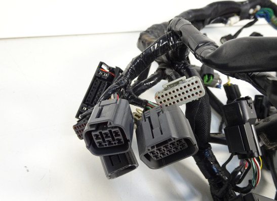 Wire Harness Kawasaki VERSYS 1000