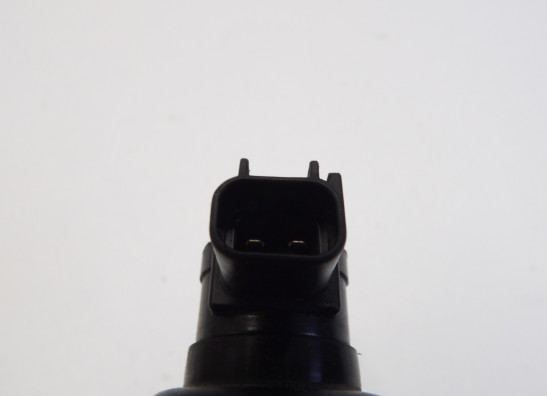 Bobine Yamaha YZF R1