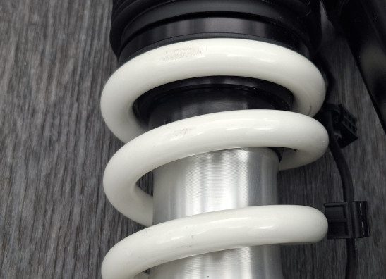 Stossdampfer hinten BMW R 1300 GS