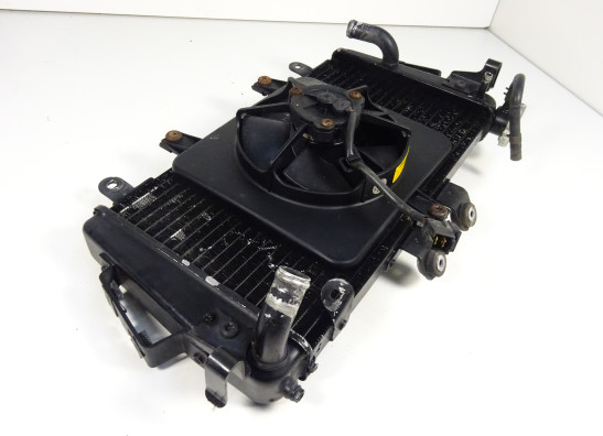 Radiateur Triumph Tiger 1050