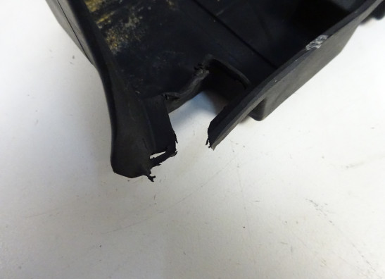 Accubak Ducati Monster 695