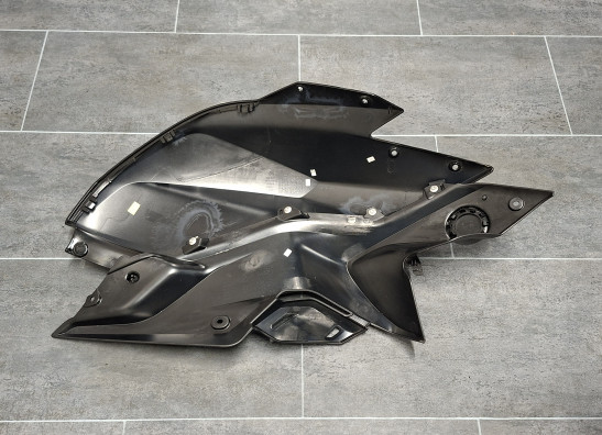 Linker zijkuip BMW R 1250 RS