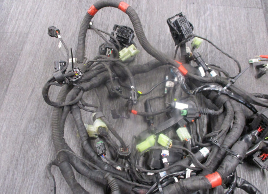 Kabelboom Ducati Monster 1200