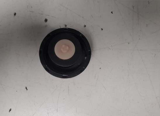 Kuhlflussigkeitsbehälter Aprilia Tuono 1000