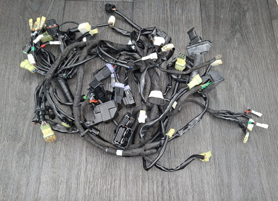 Kabelboom KTM 690 Duke 