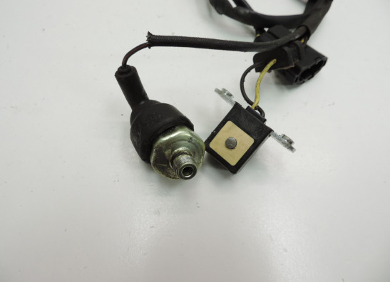 Pulsgever Kawasaki Z 750