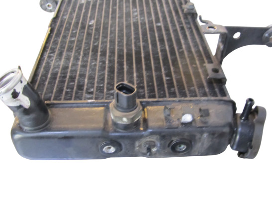 Radiator Suzuki DL 1000 V STROM
