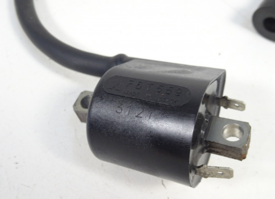 Zundspule Suzuki SV 1000