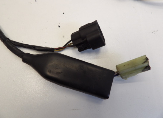 Kabelboom Triumph Trophy 900