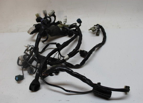 Kabelbaum Yamaha MT 03