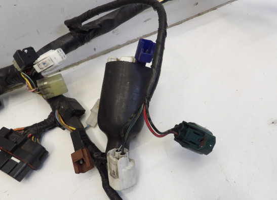 Kabelboom Yamaha FZ6