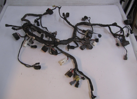 Wire Harness Kawasaki ER 6