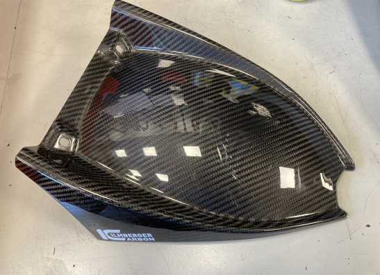 Hinterradabdeckung Aprilia Tuono V4
