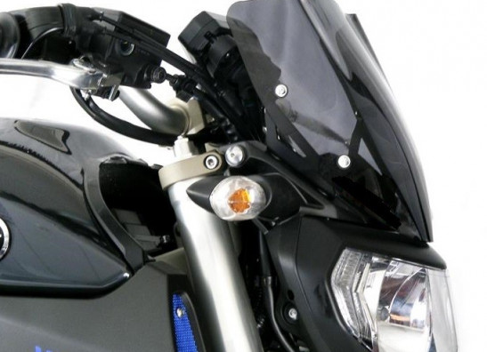 Scheibe Windschild Yamaha MT 09