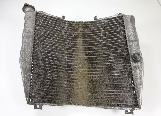 Radiator Kawasaki ZXR 400