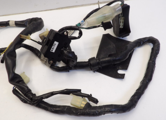 Kabelboom Honda NTV 650