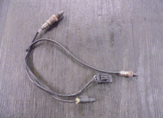 Lambda sensor BMW F 900 XR