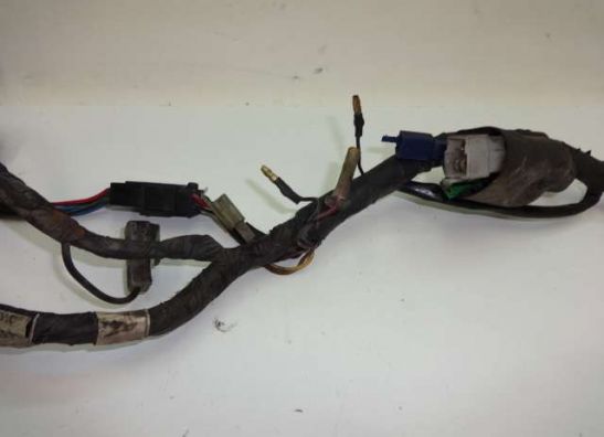 Wire Harness Yamaha XJ 600 Diversion