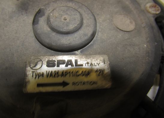 Lufter Triumph Tiger 900