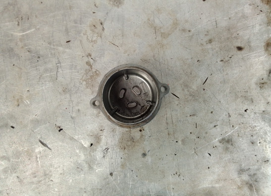 Engine cover Aprilia RSV 1000