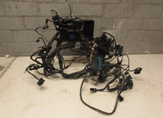 Kabelboom BMW K 1200 RS