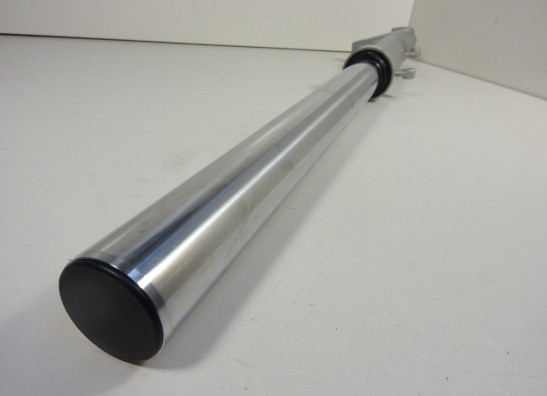 Voorpoot links compleet BMW F 800 S - ST