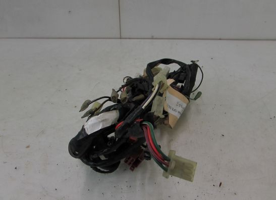 Kabelboom Kawasaki GPZ 500