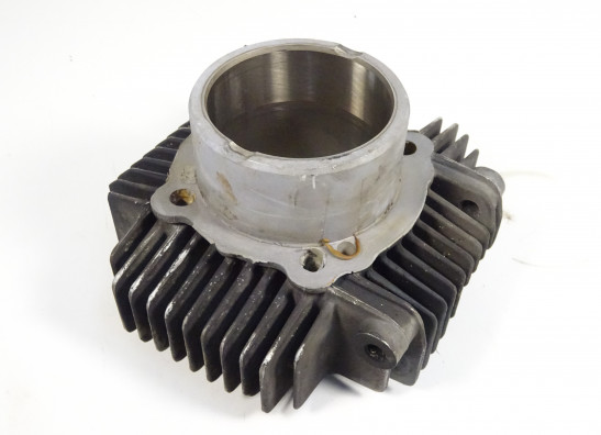 Cilinderblok Ducati monster 600