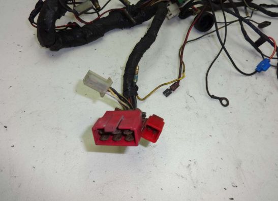 Wire Harness Kawasaki GPZ 900