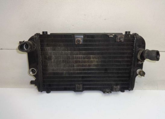 Kuhler Kawasaki EL 250