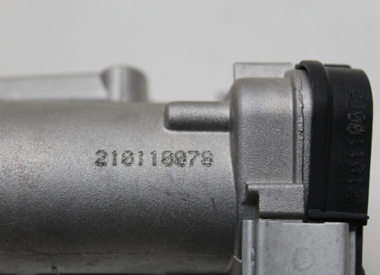 Einspritzanlage Aprilia Tuono 660