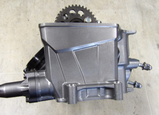 Cylinder head Honda CRF 1100 Africa Twin