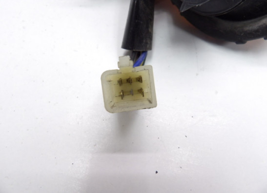 Rucklicht Yamaha FJR 1300