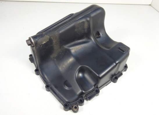 Carterpan Triumph Street Triple 675