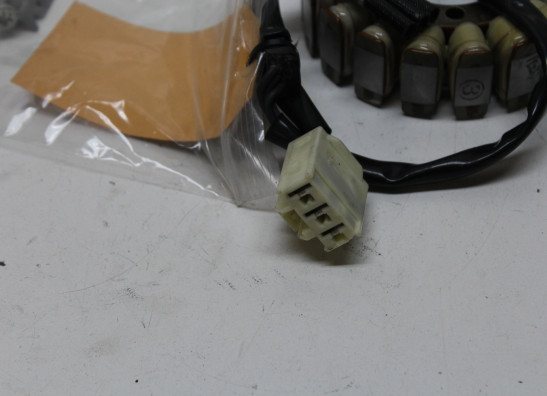 Dynamo Kawasaki Z 900 RS